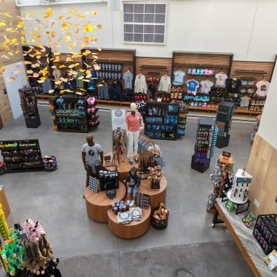 Cmz Gift Shop 5