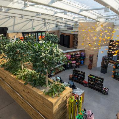 Cmz Gift Shop 6