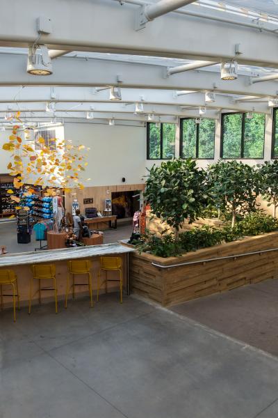 Cmz Gift Shop 7
